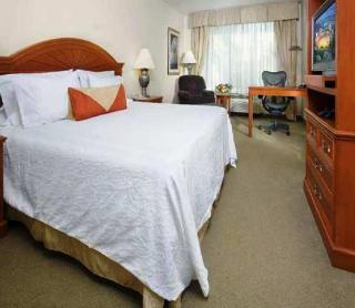 Hilton Garden Downtown 3*